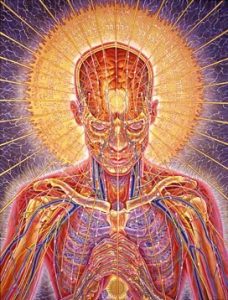 Alex Grey :'Praying' - 1984, oil on linen, 48 x 36 ins