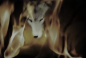 Branka Jukic:'Untitled'