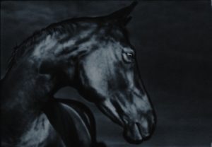 Branka Jukic:'Untitled'