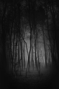 Branka Jukic:'Untitled'