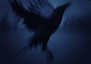 Branka Jukic:'Untitled'