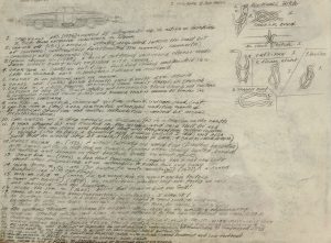 William A. Hall :'Untitled'  2010  pencil & crayon   9 x 12 ins