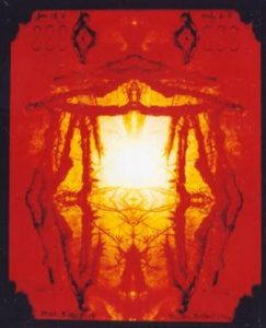 Norbert Kox:'Untitled'