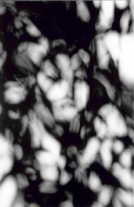 Fred Ressler :'Lila Native American Princess'