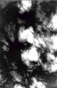 Fred Ressler :'No Exit'