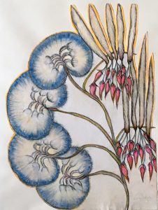 Zemankova - Untitled c.1965. mixed media 18 x 13 in 