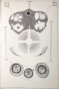 Adam Grippo  'Untitled' 2018  ink on paper 30 x 20 ins